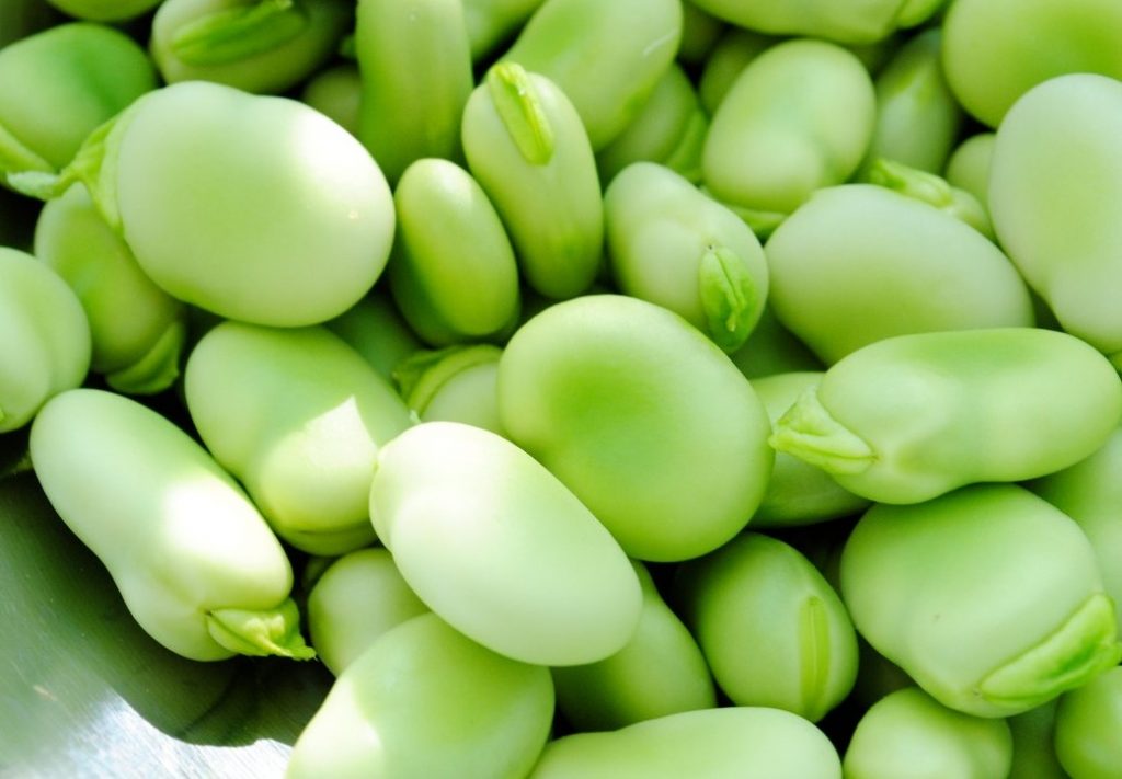 الفوائد المذهلة لنبات الفول