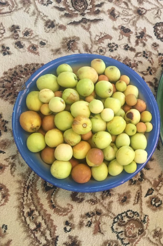 فوائد النبق