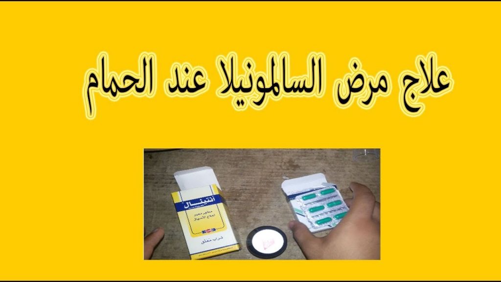 علاج السالمونيلا للحمام