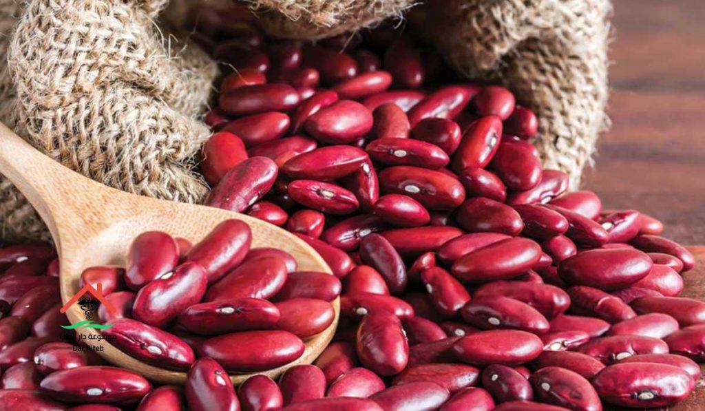 فوائد الفاصوليا الحمراء